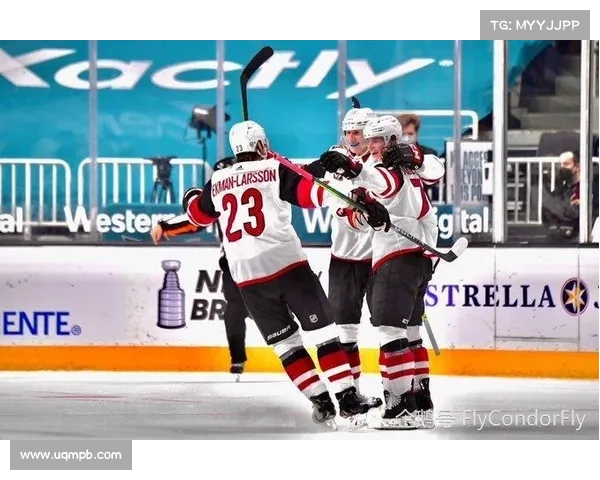 荷兰主场力争三分巩固榜首 芬兰背水一战保留希望